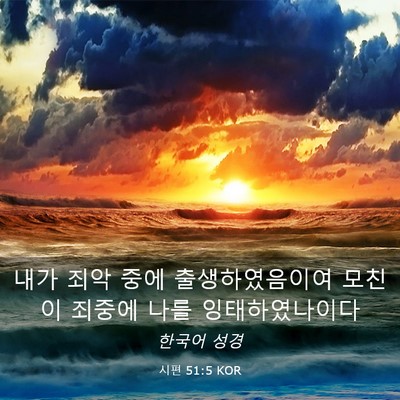 Picture 03 - 시편 51:5 KOR - 내가 죄악 중에 출생하였음이여 - Bible Verse Picture