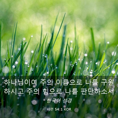 Picture 03 - 시편 54:1 KOR - 하나님이여 주의 이름으로 나를 - Bible Verse Picture