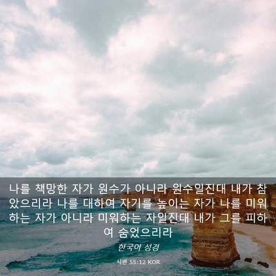 Picture 03 - 시편 55:12 KOR - 나를 책망한 자가 원수가 아니라 - Bible Verse Picture