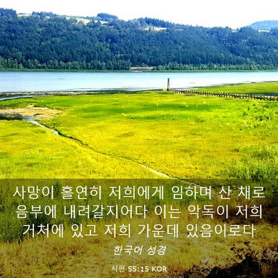 Picture 03 - 시편 55:15 KOR - 사망이 홀연히 저희에게 임하며 산 - Bible Verse Picture