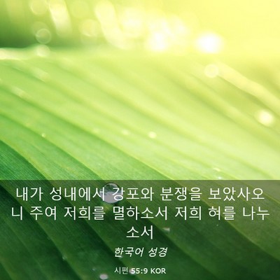 Picture 03 - 시편 55:9 KOR - 내가 성내에서 강포와 분쟁을 - Bible Verse Picture
