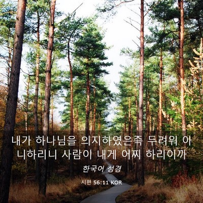 Picture 03 - 시편 56:11 KOR - 내가 하나님을 의지하였은즉 두려워 - Bible Verse Picture