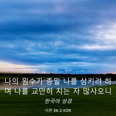 Picture 03 - 시편 56:2 KOR - 나의 원수가 종일 나를 삼키려 하며 - Bible Verse Picture