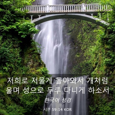 Picture 03 - 시편 59:14 KOR - 저희로 저물게 돌아와서 개처럼 울며 - Bible Verse Picture