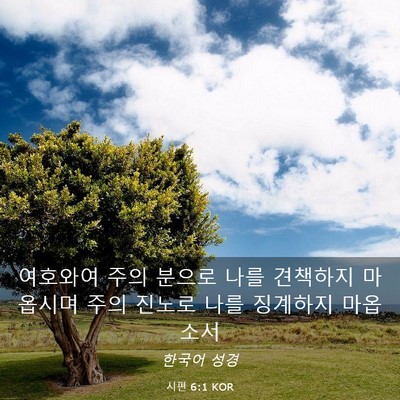 Picture 03 - 시편 6:1 KOR - 여호와여 주의 분으로 나를 견책하지 - Bible Verse Picture