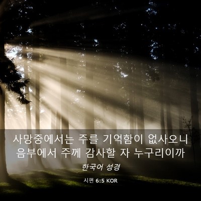 Picture 03 - 시편 6:5 KOR - 사망중에서는 주를 기억함이 - Bible Verse Picture