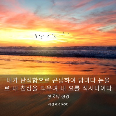 Picture 03 - 시편 6:6 KOR - 내가 탄식함으로 곤핍하여 밤마다 - Bible Verse Picture