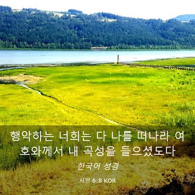 Picture 03 - 시편 6:8 KOR - 행악하는 너희는 다 나를 떠나라 - Bible Verse Picture