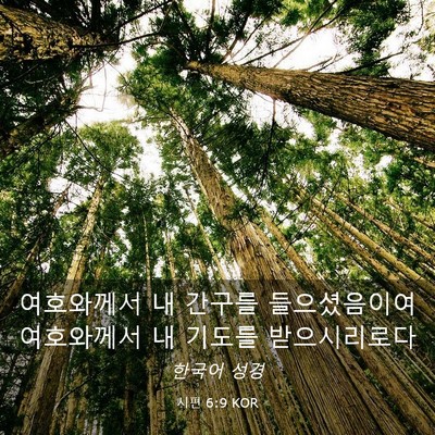 Picture 03 - 시편 6:9 KOR - 여호와께서 내 간구를 들으셨음이여 - Bible Verse Picture
