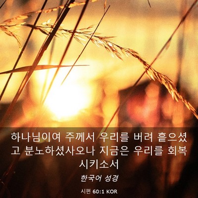 Picture 03 - 시편 60:1 KOR - 하나님이여 주께서 우리를 버려 - Bible Verse Picture