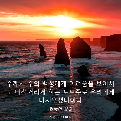 Picture 03 - 시편 60:3 KOR - 주께서 주의 백성에게 어려움을 - Bible Verse Picture