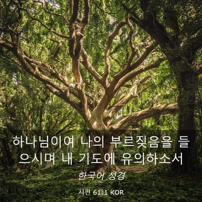 Picture 03 - 시편 61:1 KOR - 하나님이여 나의 부르짖음을 - Bible Verse Picture