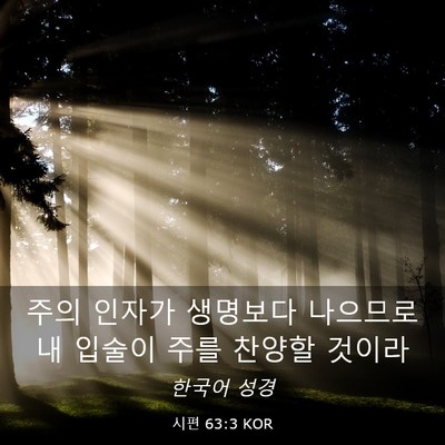 Picture 03 - 시편 63:3 KOR - 주의 인자가 생명보다 나으므로 내 - Bible Verse Picture
