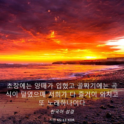 Picture 03 - 시편 65:13 KOR - 초장에는 양떼가 입혔고 골짜기에는 - Bible Verse Picture
