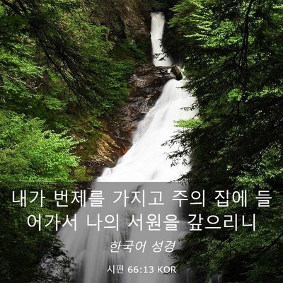 Picture 03 - 시편 66:13 KOR - 내가 번제를 가지고 주의 집에 - Bible Verse Picture