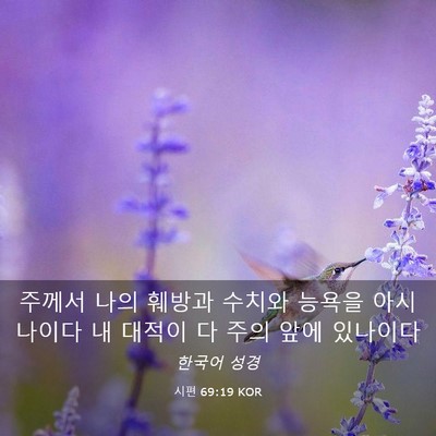 Picture 03 - 시편 69:19 KOR - 주께서 나의 훼방과 수치와 능욕을 - Bible Verse Picture