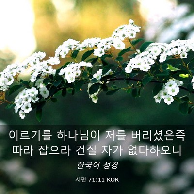 Picture 03 - 시편 71:11 KOR - 이르기를 하나님이 저를 버리셨은즉 - Bible Verse Picture
