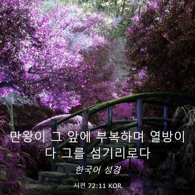 Picture 03 - 시편 72:11 KOR - 만왕이 그 앞에 부복하며 열방이 다 - Bible Verse Picture