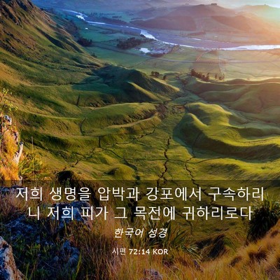 Picture 03 - 시편 72:14 KOR - 저희 생명을 압박과 강포에서 - Bible Verse Picture