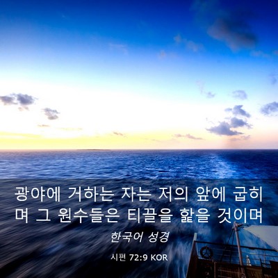 Picture 03 - 시편 72:9 KOR - 광야에 거하는 자는 저의 앞에 - Bible Verse Picture