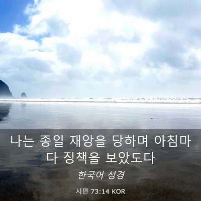 Picture 03 - 시편 73:14 KOR - 나는 종일 재앙을 당하며 아침마다 - Bible Verse Picture