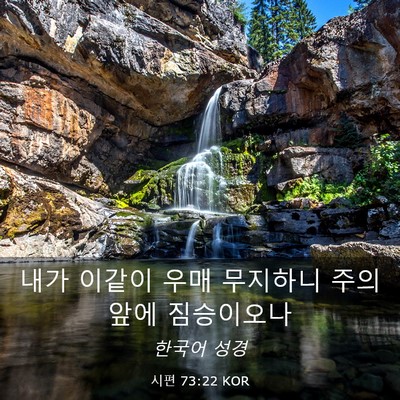 Picture 03 - 시편 73:22 KOR - 내가 이같이 우매 무지하니 주의 - Bible Verse Picture