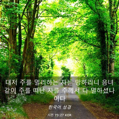 Picture 03 - 시편 73:27 KOR - 대저 주를 멀리하는 자는 망하리니 - Bible Verse Picture