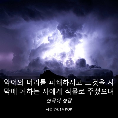 Picture 03 - 시편 74:14 KOR - 악어의 머리를 파쇄하시고 그것을 - Bible Verse Picture