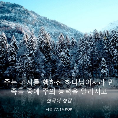Picture 03 - 시편 77:14 KOR - 주는 기사를 행하신 하나님이시라 - Bible Verse Picture