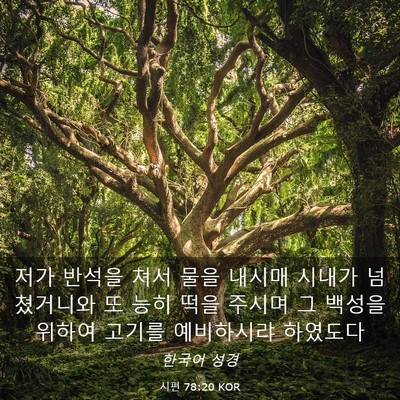Picture 03 - 시편 78:20 KOR - 저가 반석을 쳐서 물을 내시매 - Bible Verse Picture