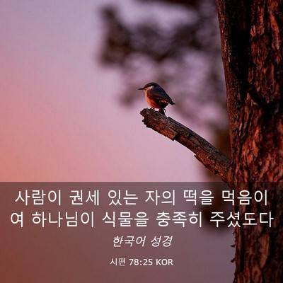 Picture 03 - 시편 78:25 KOR - 사람이 권세 있는 자의 떡을 - Bible Verse Picture