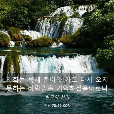 Picture 03 - 시편 78:39 KOR - 저희는 육체 뿐이라 가고 다시 오지 - Bible Verse Picture