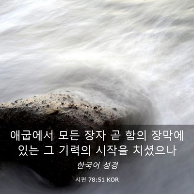 Picture 03 - 시편 78:51 KOR - 애굽에서 모든 장자 곧 함의 장막에 - Bible Verse Picture