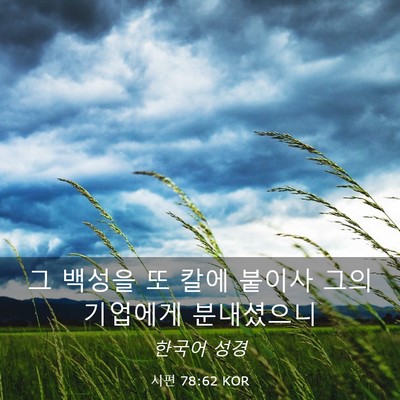 Picture 03 - 시편 78:62 KOR - 그 백성을 또 칼에 붙이사 그의 - Bible Verse Picture