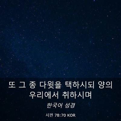Picture 03 - 시편 78:70 KOR - 또 그 종 다윗을 택하시되 양의 - Bible Verse Picture