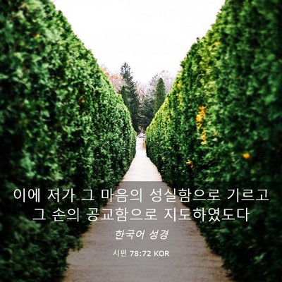 Picture 03 - 시편 78:72 KOR - 이에 저가 그 마음의 성실함으로 - Bible Verse Picture
