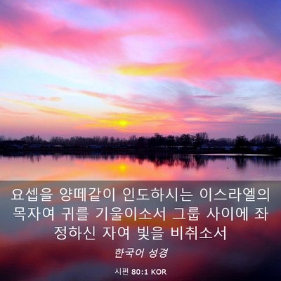 Picture 03 - 시편 80:1 KOR - 요셉을 양떼같이 인도하시는 - Bible Verse Picture