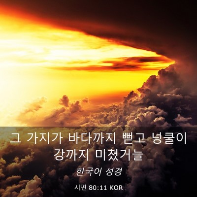 Picture 03 - 시편 80:11 KOR - 그 가지가 바다까지 뻗고 넝쿨이 - Bible Verse Picture