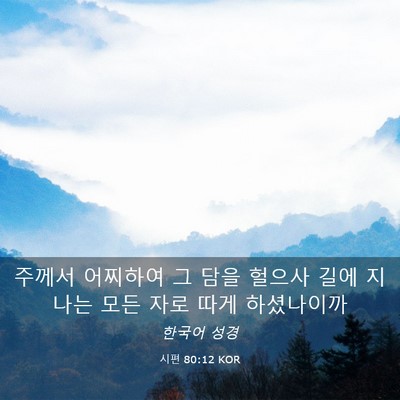 Picture 03 - 시편 80:12 KOR - 주께서 어찌하여 그 담을 헐으사 - Bible Verse Picture