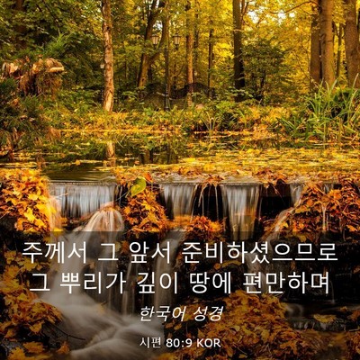 Picture 03 - 시편 80:9 KOR - 주께서 그 앞서 준비하셨으므로 그 - Bible Verse Picture