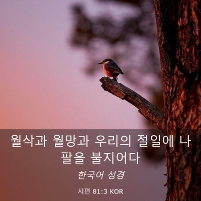 Picture 03 - 시편 81:3 KOR - 월삭과 월망과 우리의 절일에 나팔을 - Bible Verse Picture