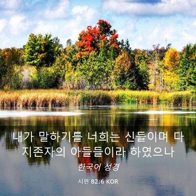Picture 03 - 시편 82:6 KOR - 내가 말하기를 너희는 신들이며 다 - Bible Verse Picture