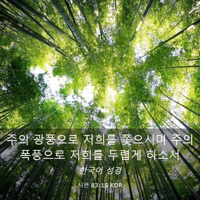 Picture 03 - 시편 83:15 KOR - 주의 광풍으로 저희를 쫓으시며 주의 - Bible Verse Picture