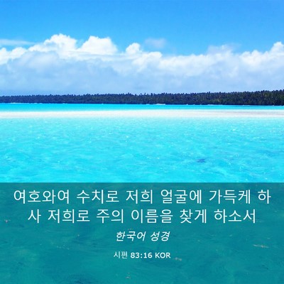 Picture 03 - 시편 83:16 KOR - 여호와여 수치로 저희 얼굴에 가득케 - Bible Verse Picture
