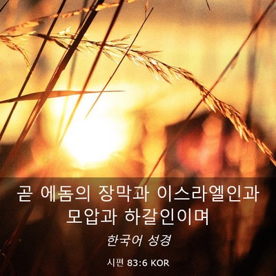 Picture 03 - 시편 83:6 KOR - 곧 에돔의 장막과 이스라엘인과 - Bible Verse Picture