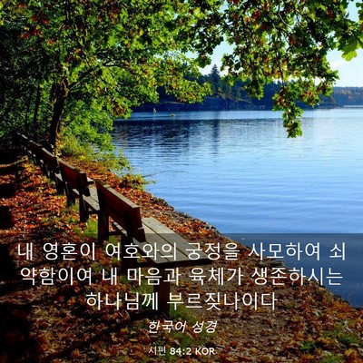 Picture 03 - 시편 84:2 KOR - 내 영혼이 여호와의 궁정을 사모하여 - Bible Verse Picture