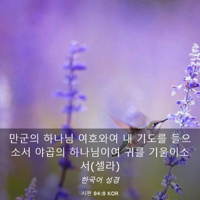 Picture 03 - 시편 84:8 KOR - 만군의 하나님 여호와여 내 기도를 - Bible Verse Picture