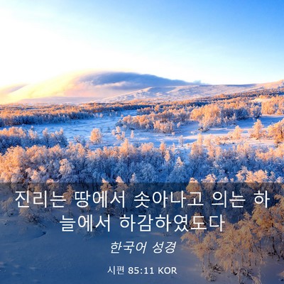 Picture 03 - 시편 85:11 KOR - 진리는 땅에서 솟아나고 의는 - Bible Verse Picture