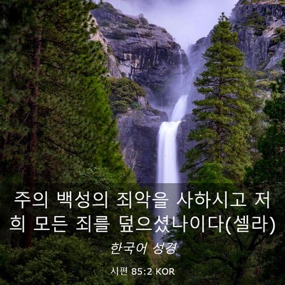 Picture 03 - 시편 85:2 KOR - 주의 백성의 죄악을 사하시고 저희 - Bible Verse Picture