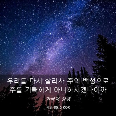 Picture 03 - 시편 85:6 KOR - 우리를 다시 살리사 주의 백성으로 - Bible Verse Picture